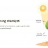 Tо'qimalar haqida umumiy tushuncha va ularning tasnifi - Image 2