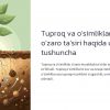 Tuproq va o'simliklarning o'zaro ta'siri - Image 4