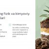 Tuproq va o'simliklarning o'zaro ta'siri - Image 2