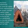 O‘zbekiston ekoturizmi - Image 4
