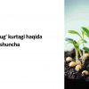 Urug' va urug' kurtagi haqida umumiy tushuncha