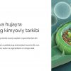 Vakuola va hujayra shirasi, uning kimyoviy tarkibi va hujayra hayotidagi vazifasi - Image 3