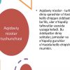 Aqidaviy nizolar va diniy sektalar - Image 4