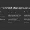 Baliqchilik va dengiz biologiyasi: saqlash va o'rganish - Image 2