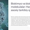 Biokimyo va biologik molekulalar: Hayotning asosiy tarkibiy qismlari