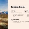Biomlar va ularning biologik xususiyatlari - Image 2