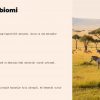 Biomlar va ularning biologik xususiyatlari - Image 4