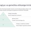 Biotexnologiya va genetik modifikatsiya etikasining masalalari - Image 2