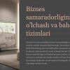 Biznes samaradorligini o'lchash va baholash tizimlari