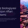 Dengiz biologiyasi va marjon riflari ekosistemi