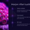 Dengiz biologiyasi va marjon riflari ekosistemi - Image 2