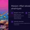 Dengiz biologiyasi va marjon riflari ekosistemi - Image 3