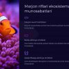 Dengiz biologiyasi va marjon riflari ekosistemi - Image 4