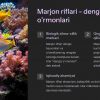 Dengiz ekotizimlari va ularni himoya qilish - Image 2