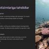Dengiz ekotizimlari va ularni himoya qilish - Image 4