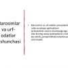 Dinlarda marosimlar va urf-odatlar - Image 3