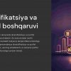 Diversifikatsiya va portfel boshqaruvi