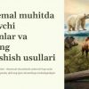 Ekstremal muhitda yashovchi hayvonlar