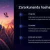 Hasharotlar: foydasi va zarari - Image 3