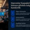 Hayvonlar huquqlari va yovvoyi tabiatni muhofaza qilish - Image 4