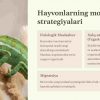 Hayvonlar va atrof-muhit o'zgarishlari - Image 3