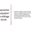 Hayvonlar huquqlari va etika - Image 4