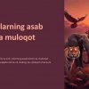 Hayvonlarning asab tizimi va muloqot usullari