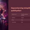Hayvonlarning asab tizimi va muloqot usullari - Image 4