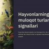 Hayvonlarning muloqot turlari va signallari