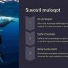 Hayvonlarning muloqot turlari va signallari - Image 4