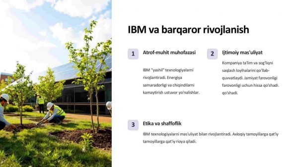 IBMning korporativ madaniyati va innovatsion loyihalari - Image 4