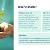 Ijtimoiy ta'sir investitsiyalari: yaxshilikka investitsiya - Image 2