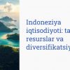 Indoneziya iqtisodiyoti: tabiiy resurslar va diversifikatsiya