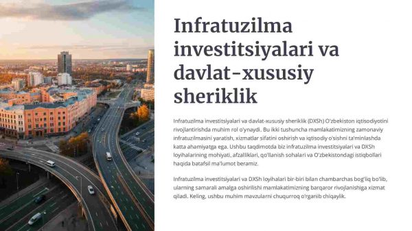 Infratuzilma investitsiyalari va davlat-xususiy sheriklik