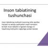 Inson tabiatining mohiyati - Image 3