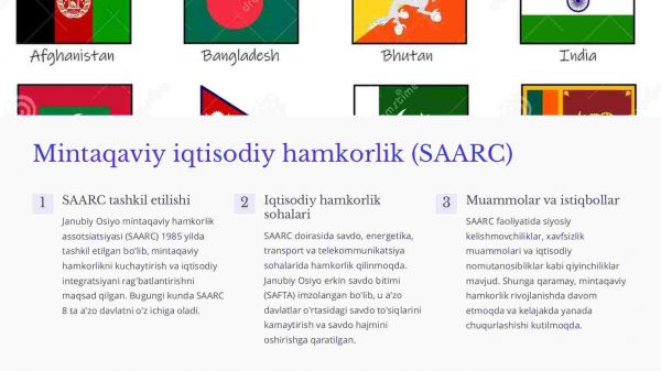 Janubiy Osiyo iqtisodiyoti: demografik o'sish va iqtisodiy rivojlanish - Image 3