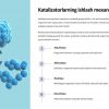 Katalizatorlar va kataliz jarayonlari - Image 3