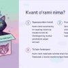 Kvant o'rami va kvant o'zaro bog'liqlik - Image 2