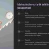 Mahsulot hayotiylik tsikli va marketing strategiyalari - Image 2