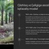 Malayziya iqtisodiyoti: qishloq xo'jaligi va xizmatlar sektori - Image 2