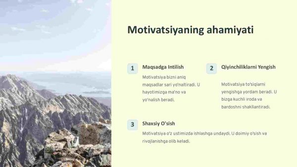 Motivatsiya - Image 2