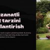 Muvozanatli hayot tarzini shakllantirish