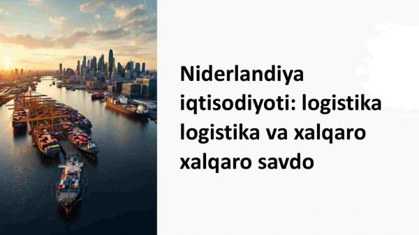 Niderlandiya iqtisodiyoti: logistika va xalqaro savdo