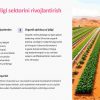 Omon iqtisodiyoti: neftdan tashqari sektorlarni rivojlantirish - Image 3