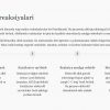 Organik kimyoviy reaksiyalar - Image 2