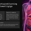 Plastik chiqindilar muammosi va uni yechish yo'llari - Image 3