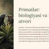 Primatlar: biologiyasi va xulq-atvori