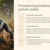Primatlar: biologiyasi va xulq-atvori - Image 4