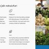 Ruminiya iqtisodiyoti: qishloq xo'jaligi va sanoat - Image 3