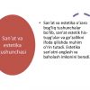 San'at va estetika o'rtasidagi munosabat - Image 3